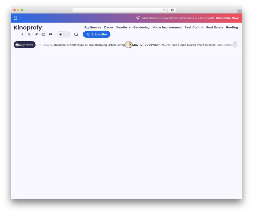 Blogsy best free WordPress theme - kinoprofy.net