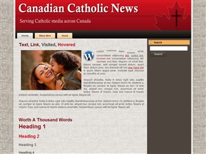 CCN WordPress theme CCN WordPress theme