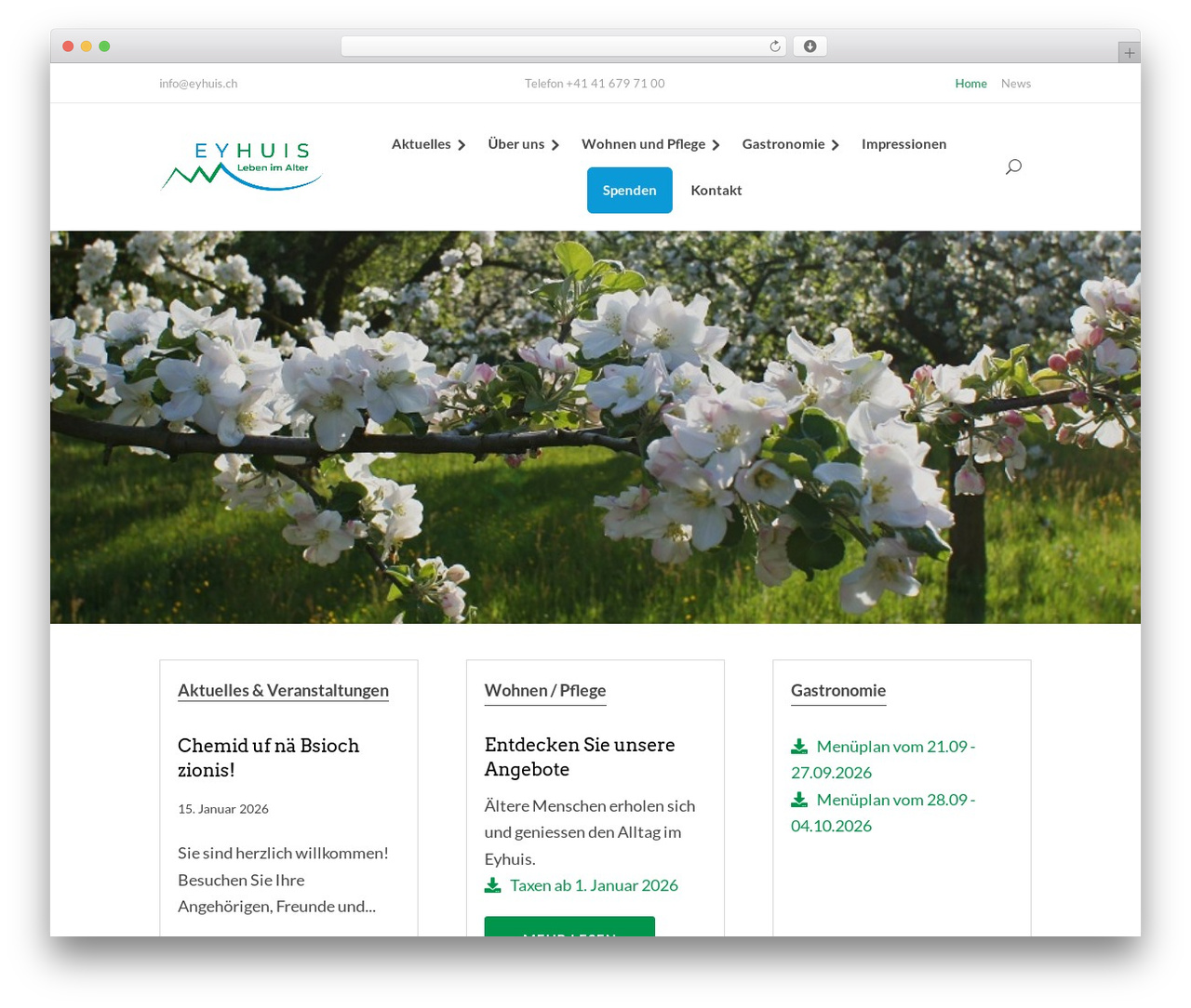 Divi theme WordPress - eyhuis.ch Divi theme WordPress - eyhuis.ch