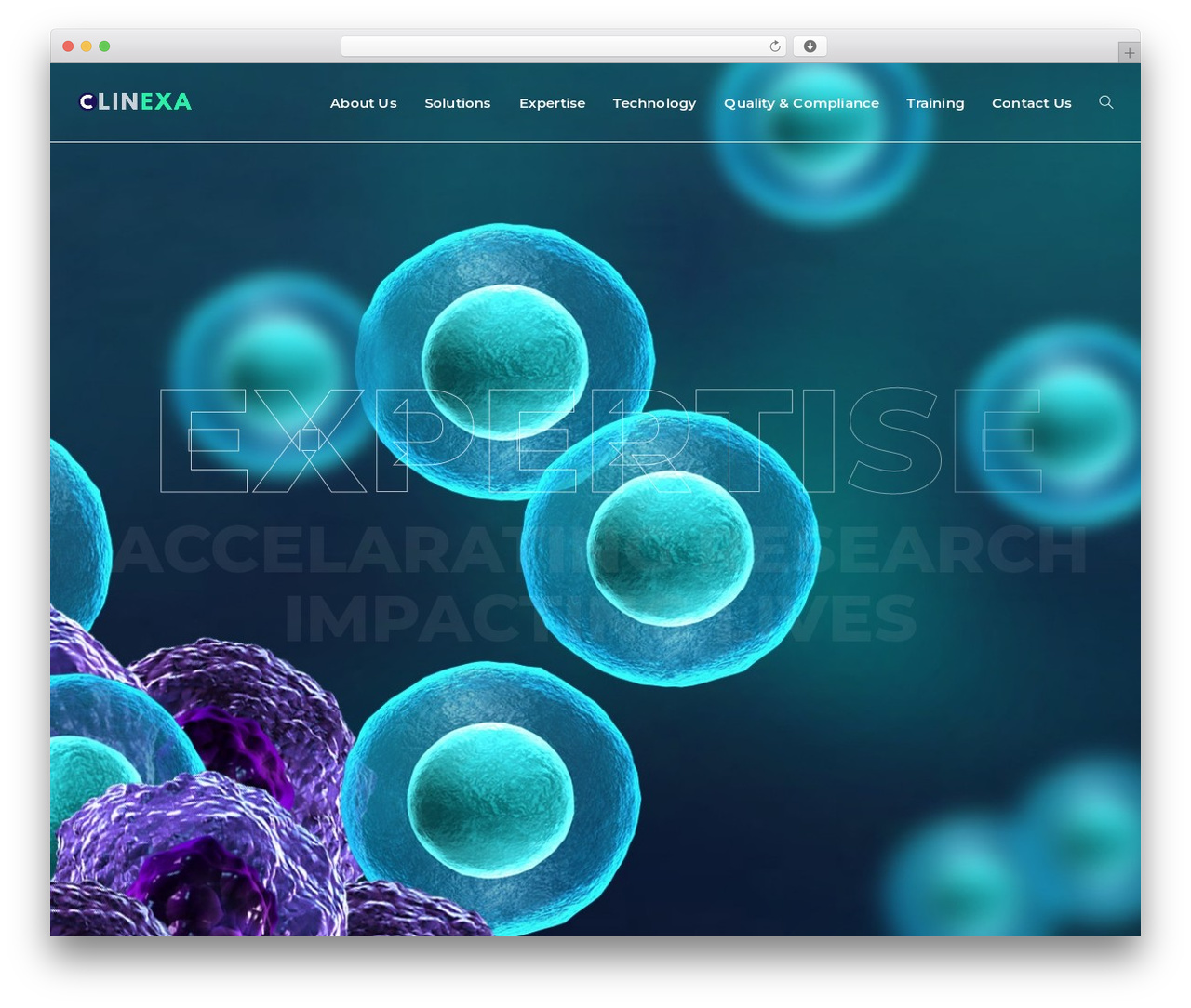 DPR Optimo WordPress theme - clinexa.com DPR Optimo WordPress theme - clinexa.com