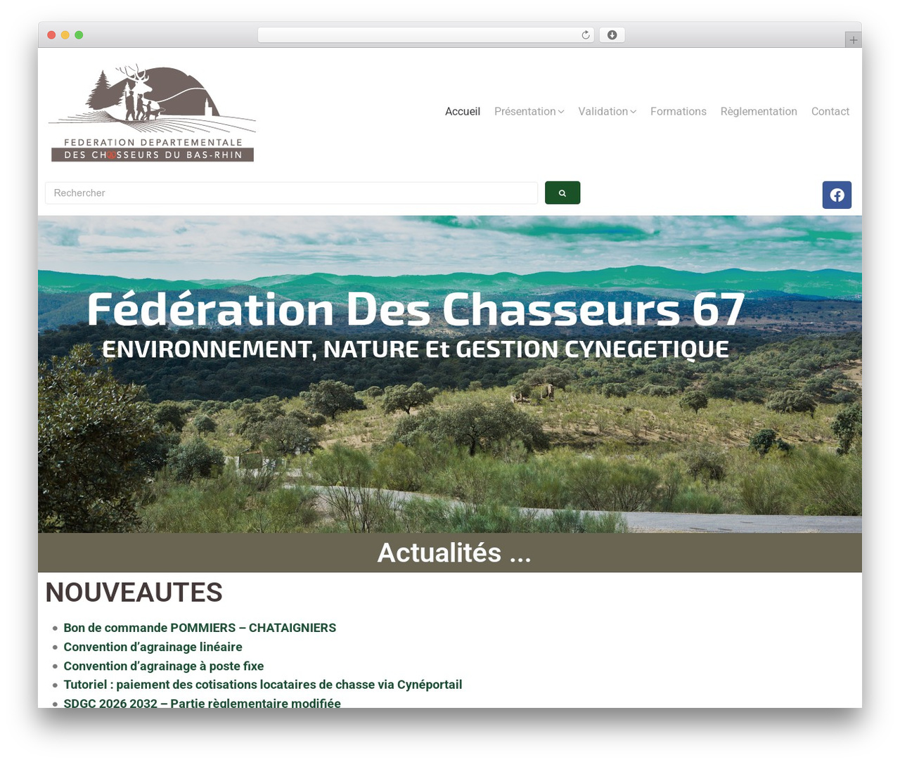 Epagreen theme WordPress - fdc67.fr Epagreen theme WordPress - fdc67.fr