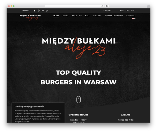 Theme Builder For Elementor (theme-builder-for-elementor) free WordPress plugin - miedzybulkami.pl Theme Builder For Elementor (theme-builder-for-elementor) free WordPress plugin - miedzybulkami.pl