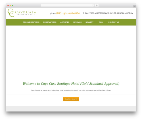 Kingplace top WordPress theme - cayecasa.com
