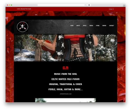 Musicpro WP theme - elmtunes.com