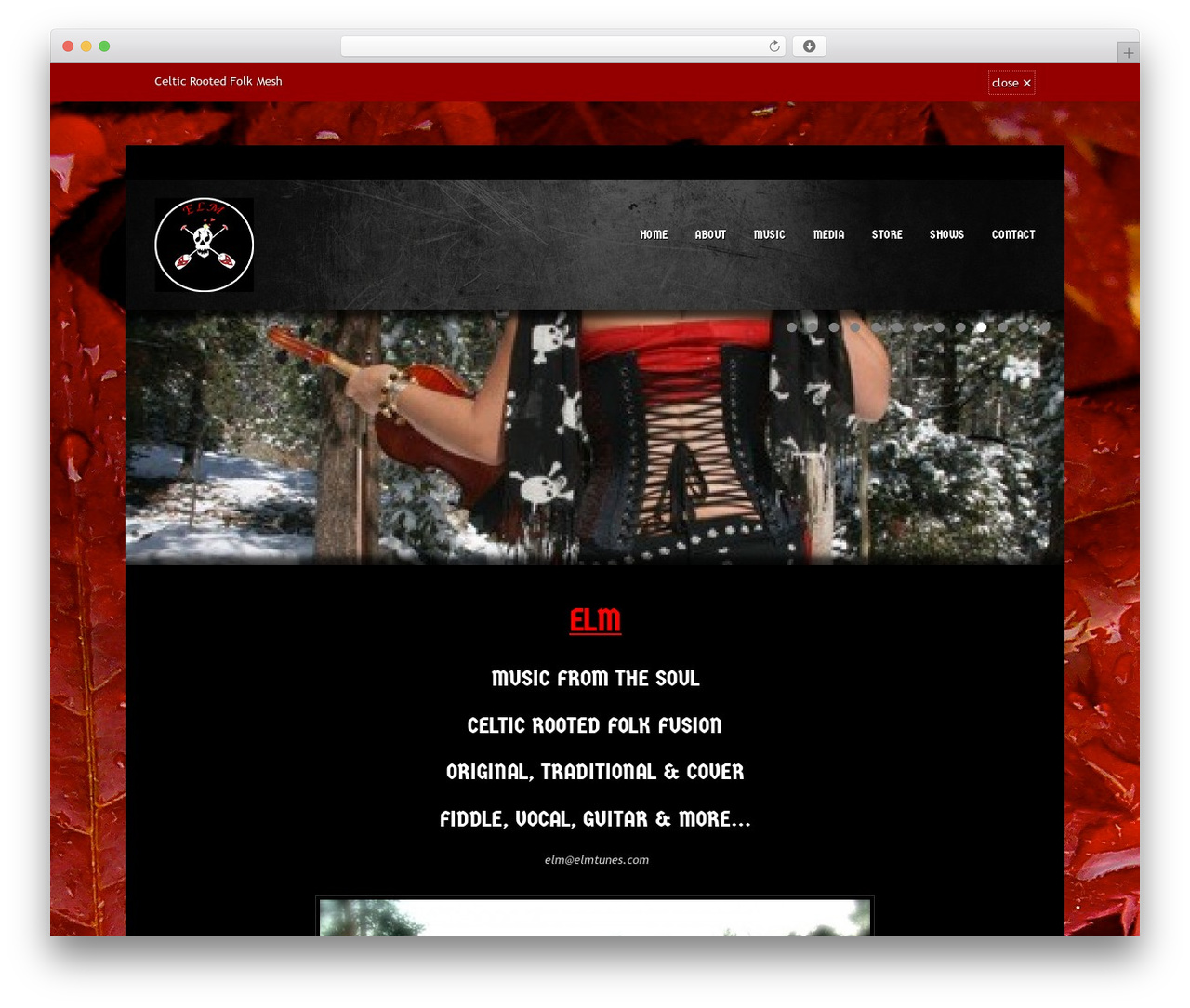 Musicpro WP theme - elmtunes.com