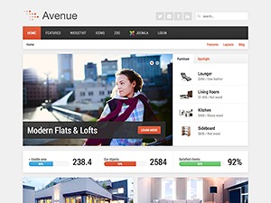 Theme WordPress CACE