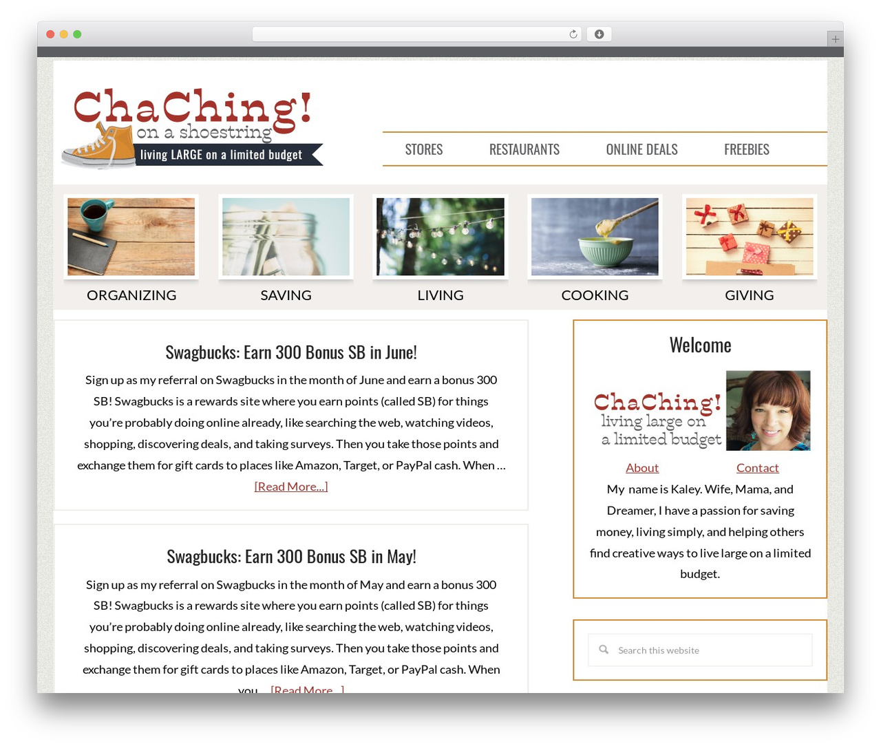 Theme WordPress ChaChing2016 - chachingonashoestring.com Theme WordPress ChaChing2016 - chachingonashoestring.com