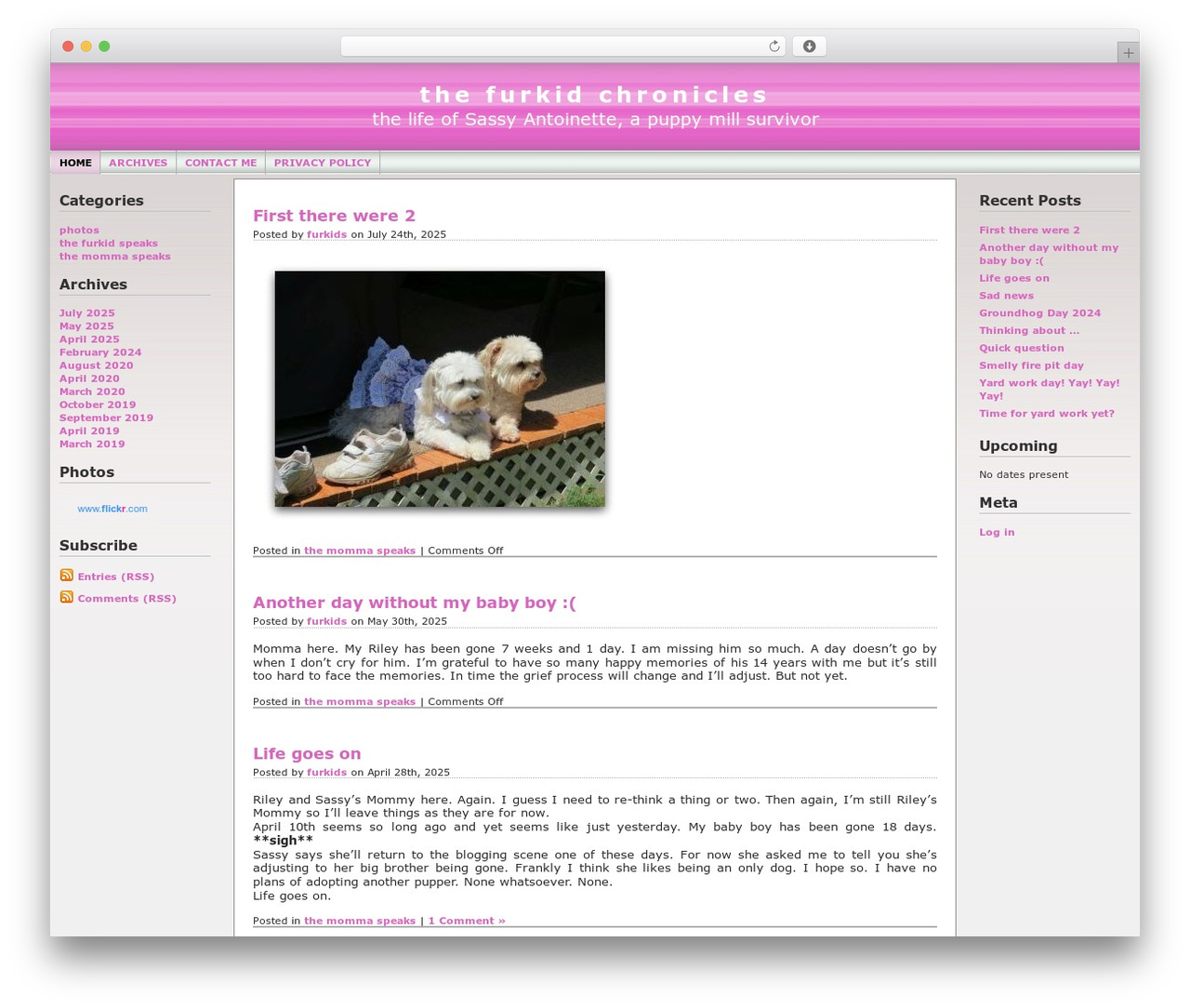 Theme WordPress WP-Andreas09 - chronicles.brich.us Theme WordPress WP-Andreas09 - chronicles.brich.us