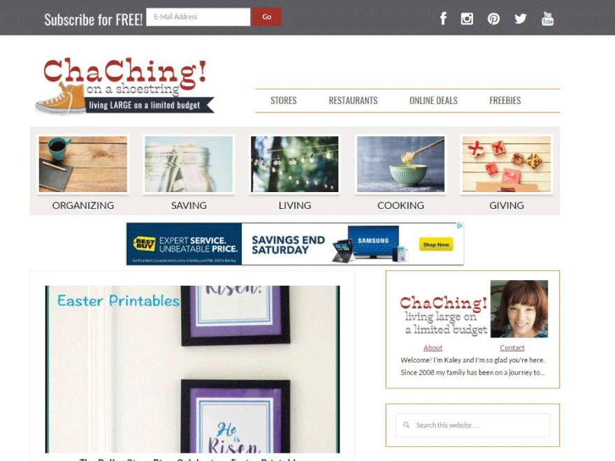 WordPress theme ChaChing2016 by Sharon Hujik