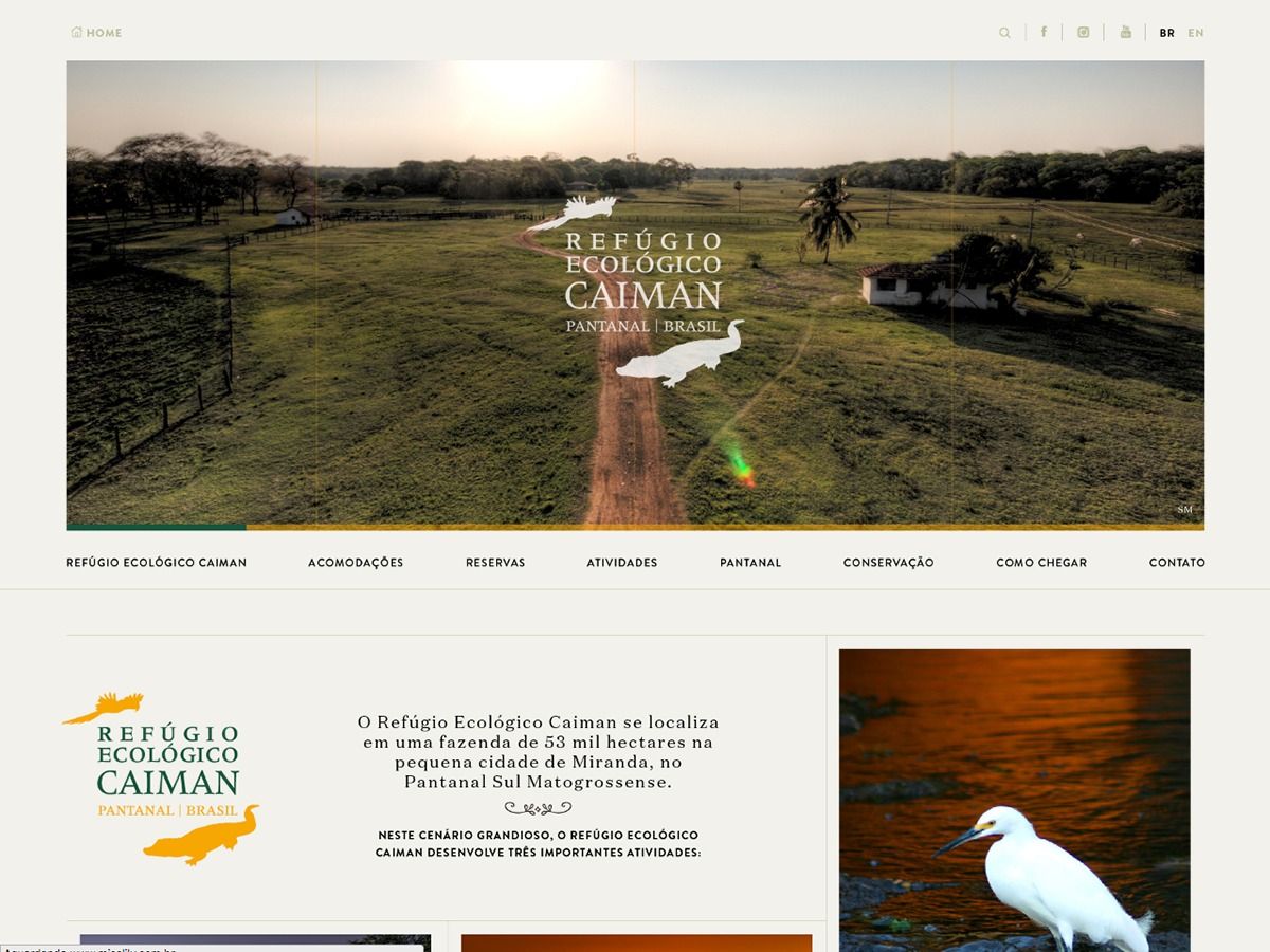 WordPress theme Caiman by Creative Web Club