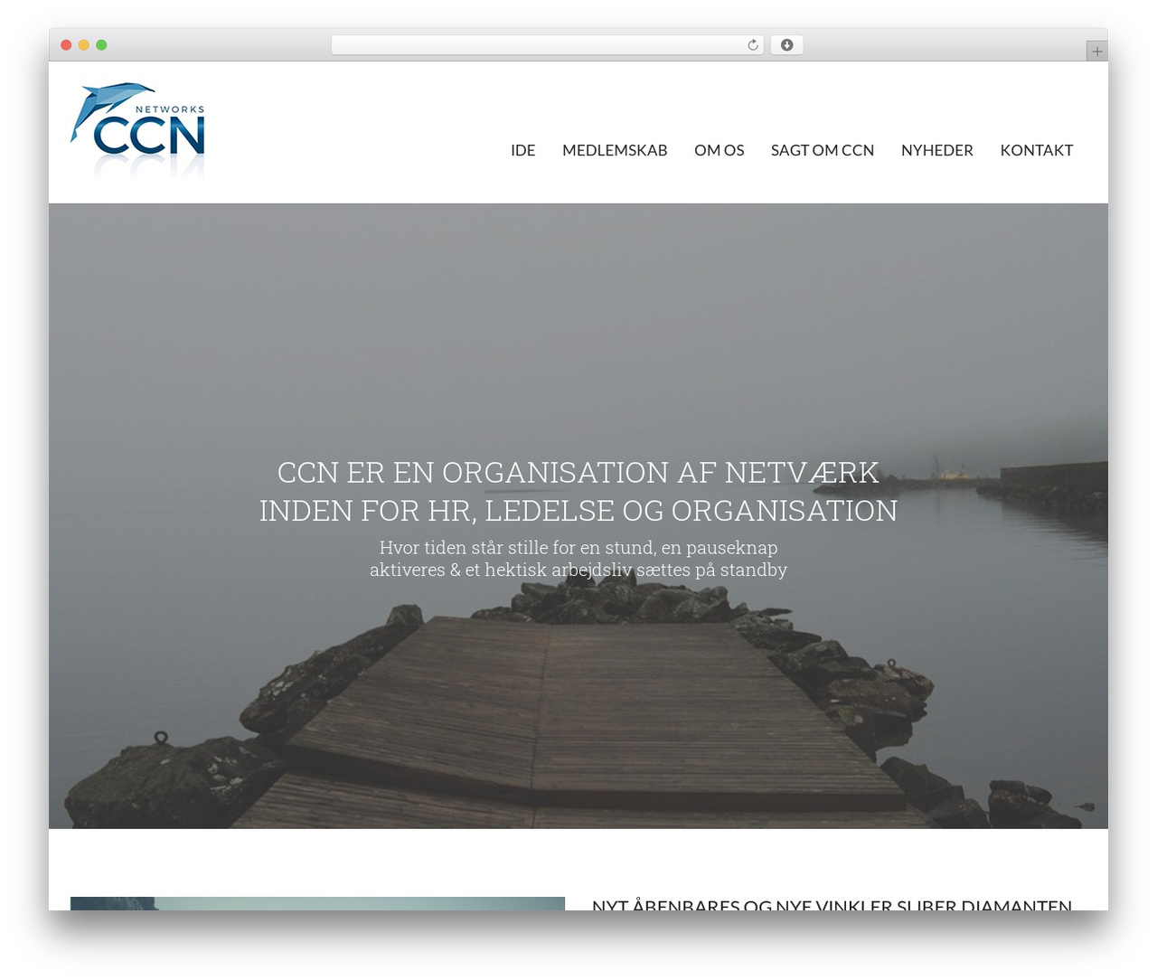 WordPress theme CCN - ccn.dk WordPress theme CCN - ccn.dk