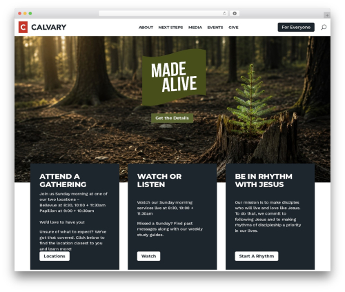 WordPress theme Divi - calvary.ch