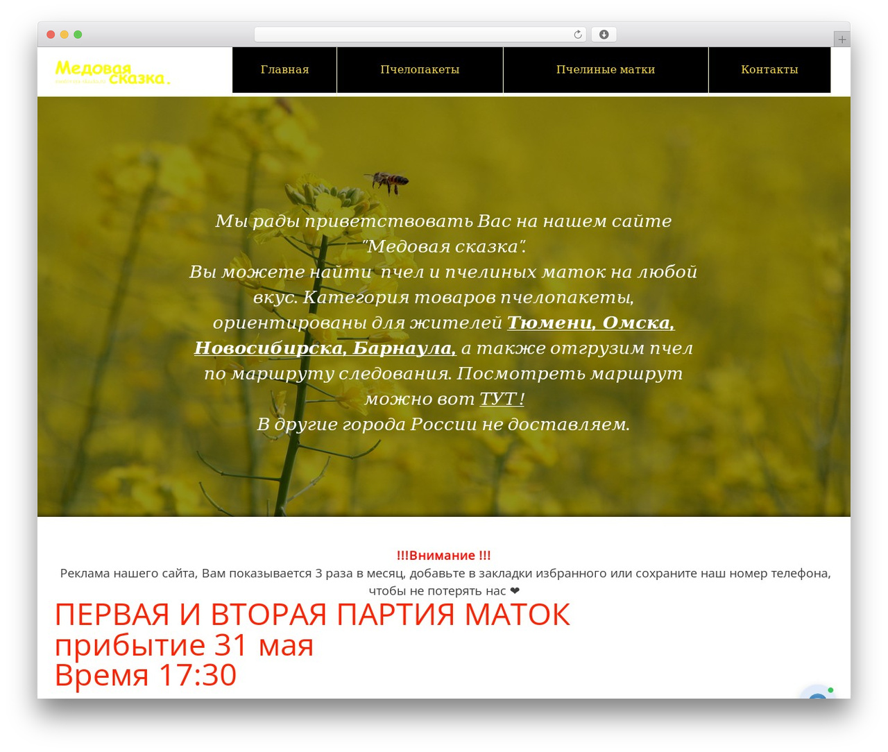 WordPress website theme Massive Dynamic - medovaya-skazka.ru WordPress website theme Massive Dynamic - medovaya-skazka.ru