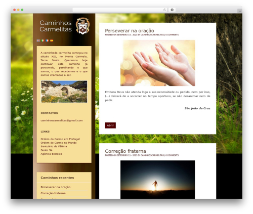Binary premium WordPress theme - caminhoscarmelitas.com