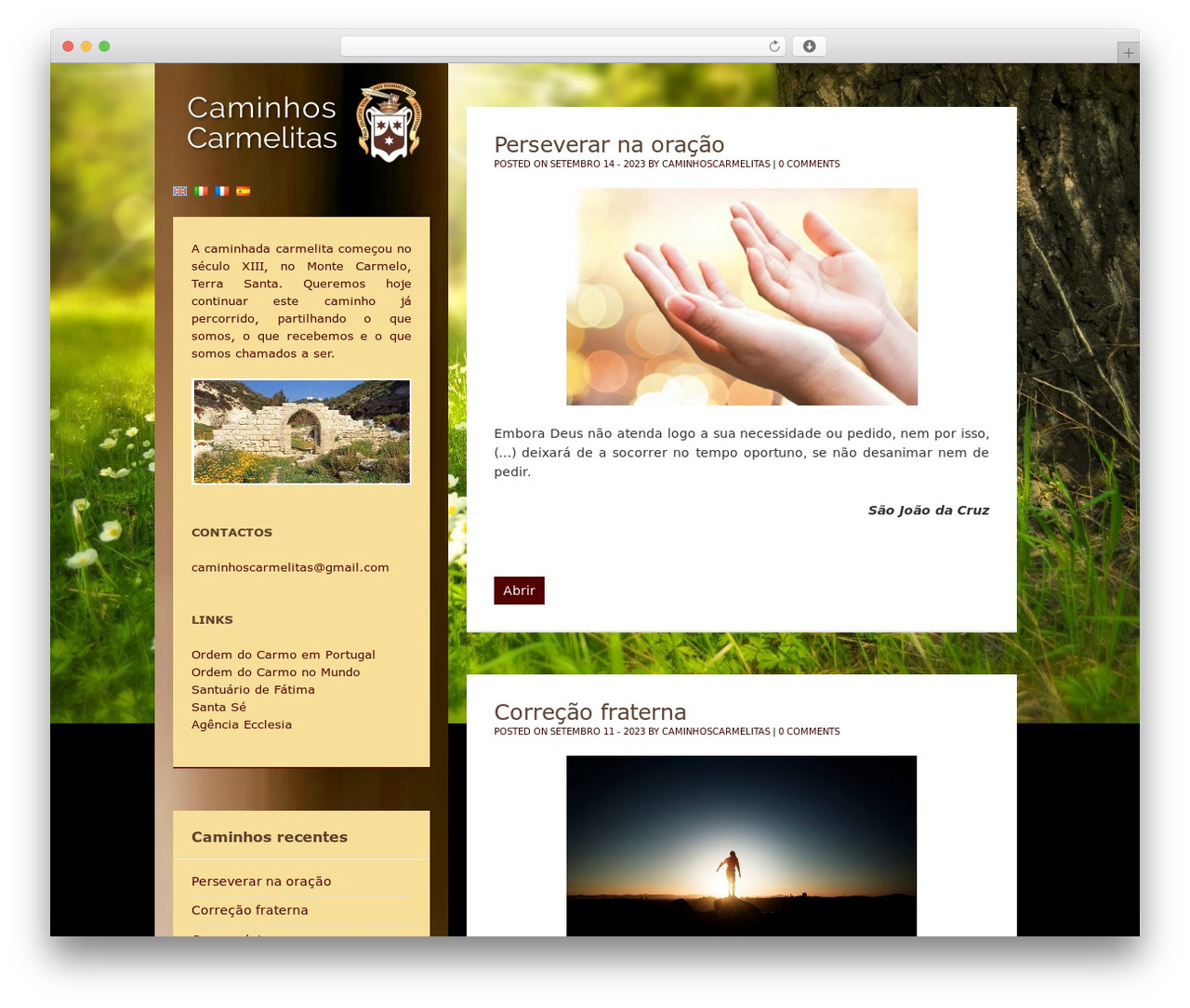 Binary premium WordPress theme - caminhoscarmelitas.com Binary premium WordPress theme - caminhoscarmelitas.com