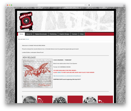 Catalyst WordPress theme - chasetheacerecords.com
