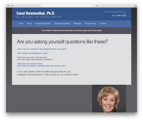 Am dashboard WordPress plugin - carolreichenthal.com