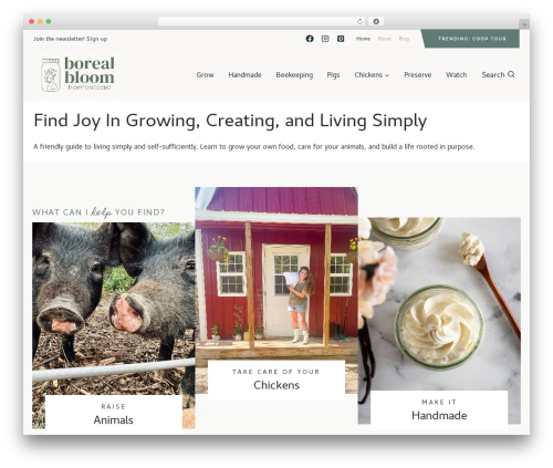 Kadence WordPress free download - borealbloomhomestead.com