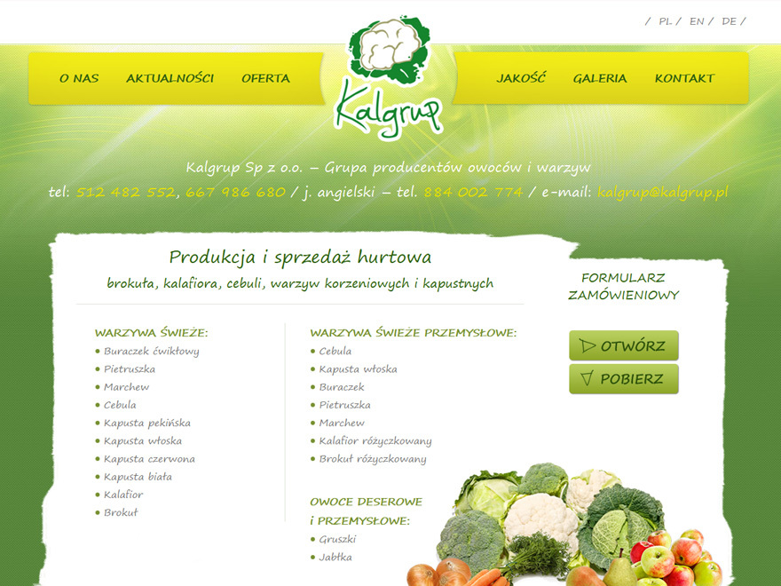 Kalgrup WordPress theme design by Solweb