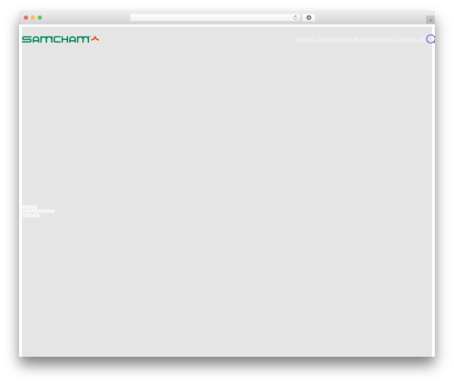Display a meta field as block WordPress plugin - samchamholdings.com