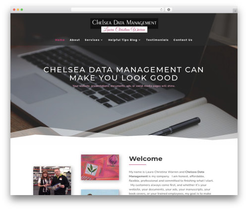 Divi WordPress theme - chelseadatamanagement.com