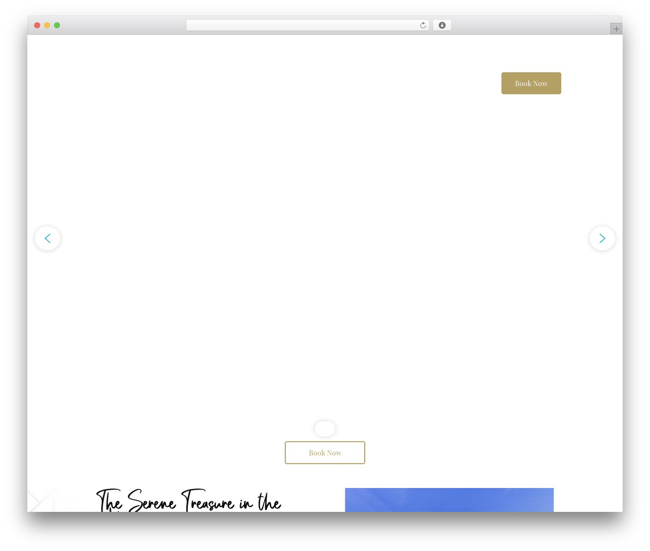 LeadEngine WordPress theme - kigambirasafarilodge.com LeadEngine WordPress theme - kigambirasafarilodge.com