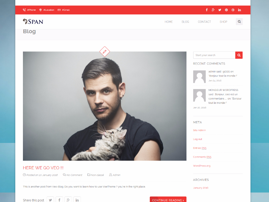 Span WordPress blog theme