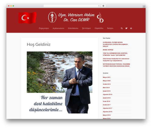 Write About It theme WordPress - candemir.name.tr