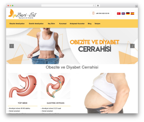 Kaswara WordPress plugin - bariest.com