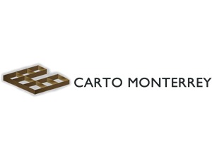 CARTO theme WordPress