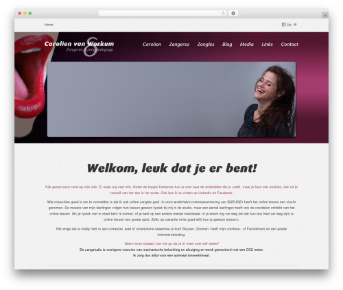 WordPress theme Musicpro - carolienvanworkum.nl