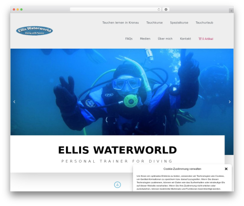 Kliken ads pixel for meta WordPress plugin - elliswaterworld.com