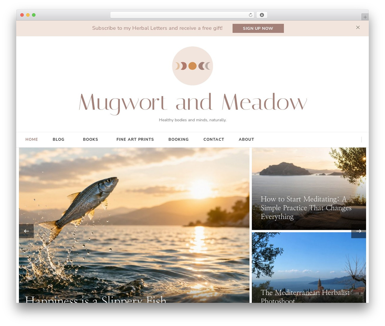 Chic Pro top WordPress theme - mugwortandmeadow.com Chic Pro top WordPress theme - mugwortandmeadow.com