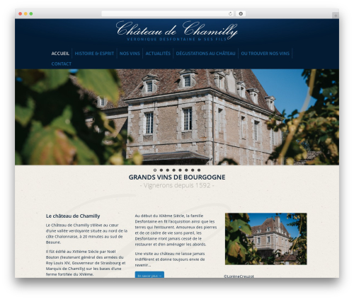 Feather theme WordPress - chateaudechamilly.com