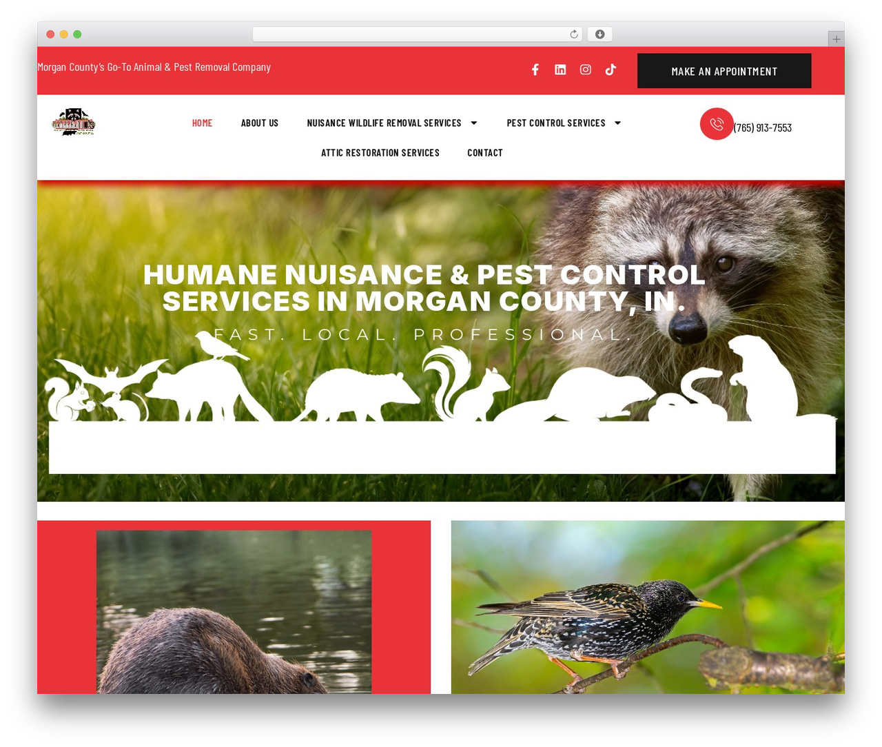 Hello Elementor theme WordPress - trappertims.com Hello Elementor theme WordPress - trappertims.com