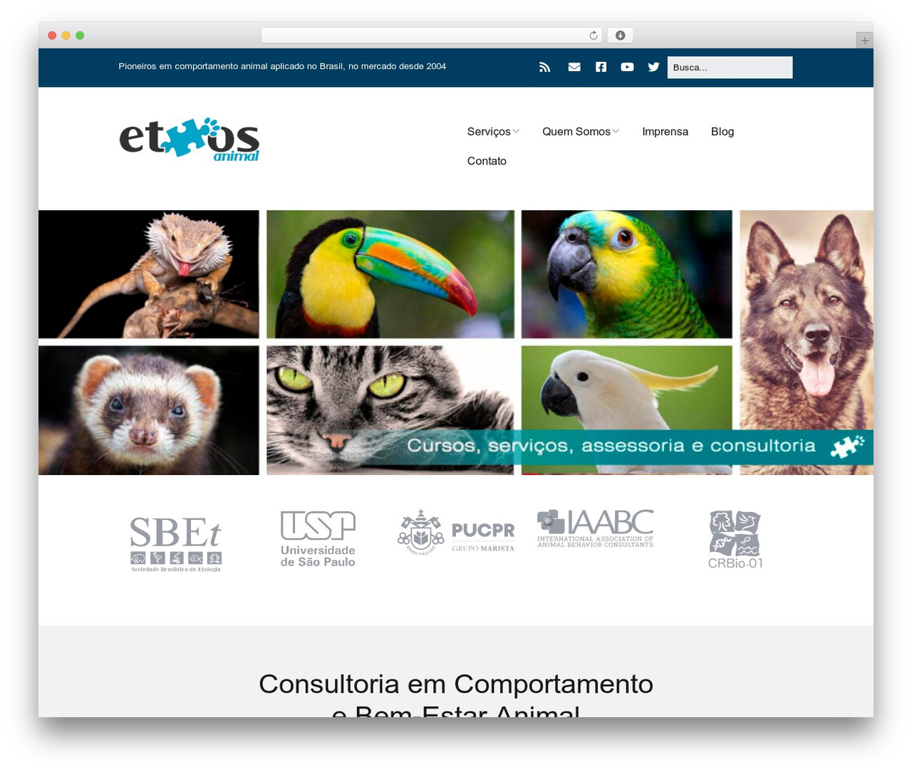 Make premium WordPress theme - ethosanimal.com.br