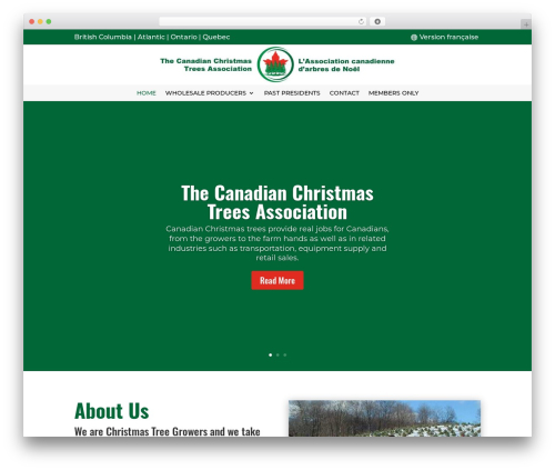 Wp hummingbird WordPress plugin - canadianchristmastrees.ca
