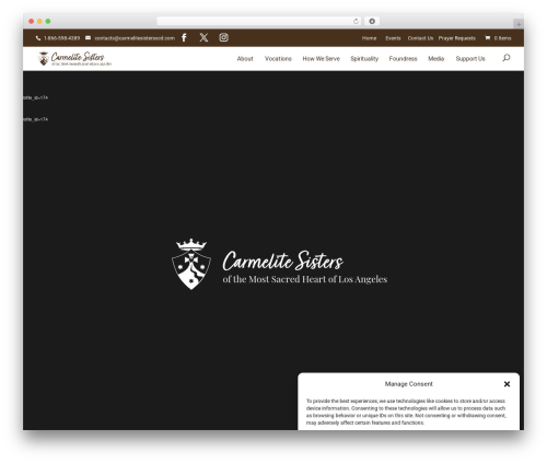 Dc divi accessibility helper WordPress plugin - carmelitesistersocd.com