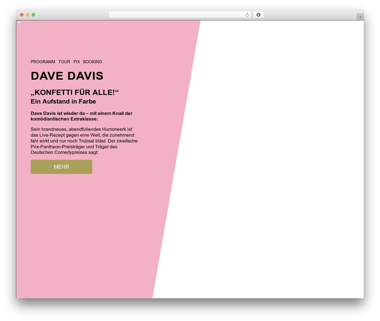 DAVE DAVIS WordPress theme - dave-davis.de