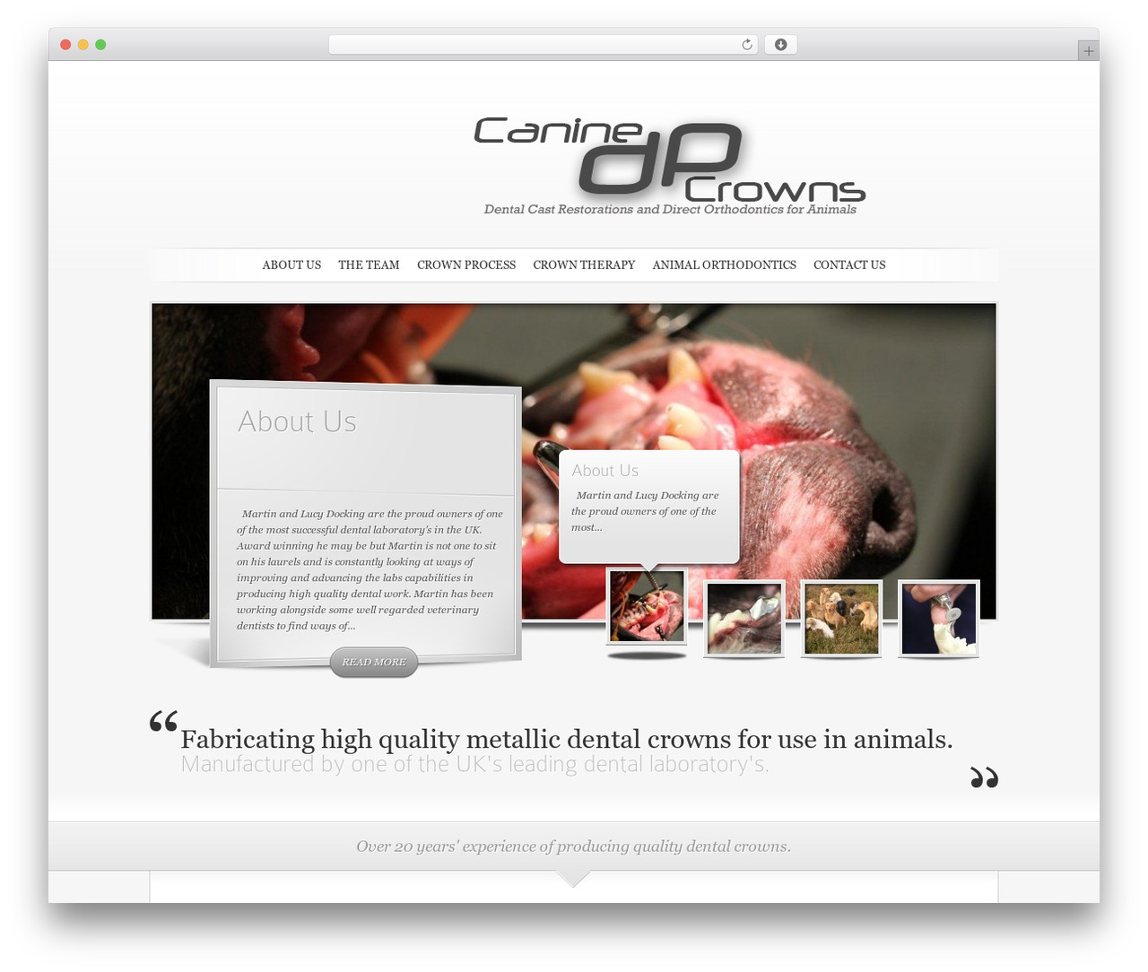 SimplePress best WordPress theme - caninecrowns.co.uk SimplePress best WordPress theme - caninecrowns.co.uk