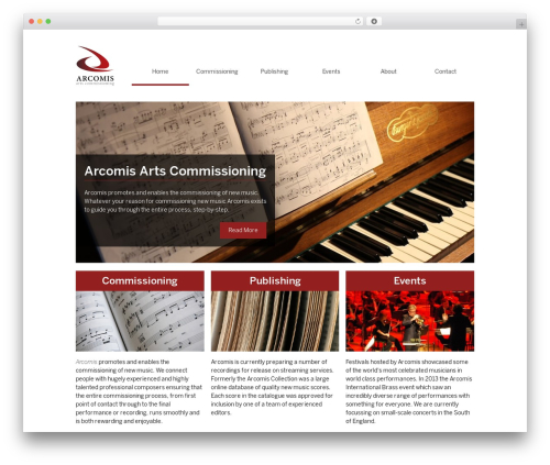 Udesly adapter plugin WordPress plugin - arcomis.com