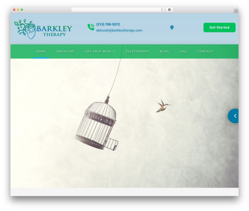 WordPress theme PSYC2 - V8 - barkleytherapy.com