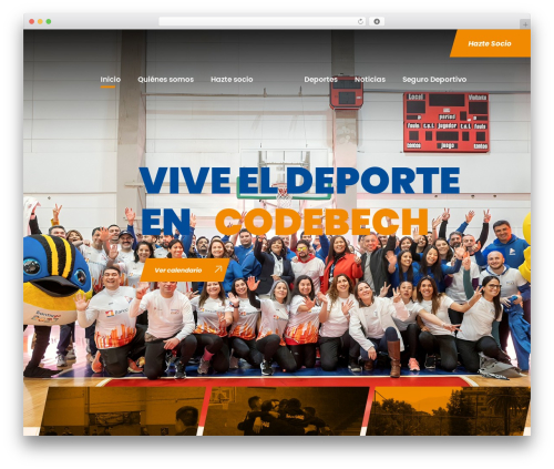 Zyth theme WordPress - codebech.cl
