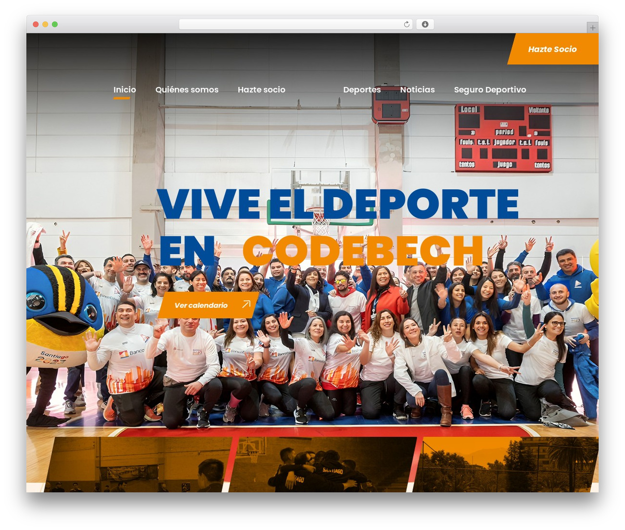Zyth theme WordPress - codebech.cl