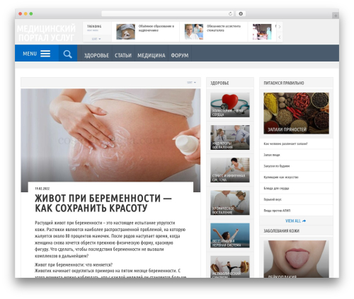 Engine WordPress theme - medservices.info