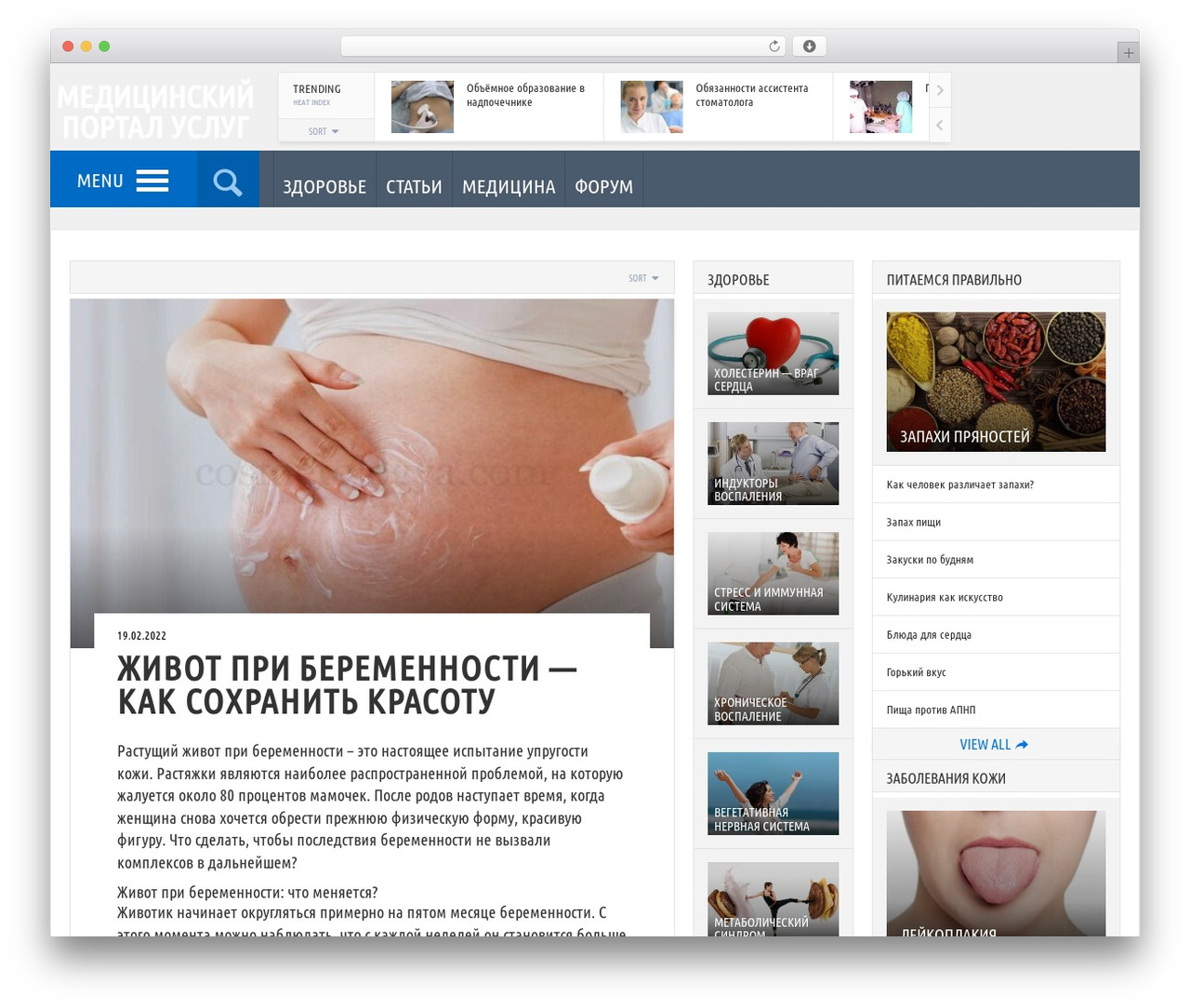 Engine WordPress theme - medservices.info