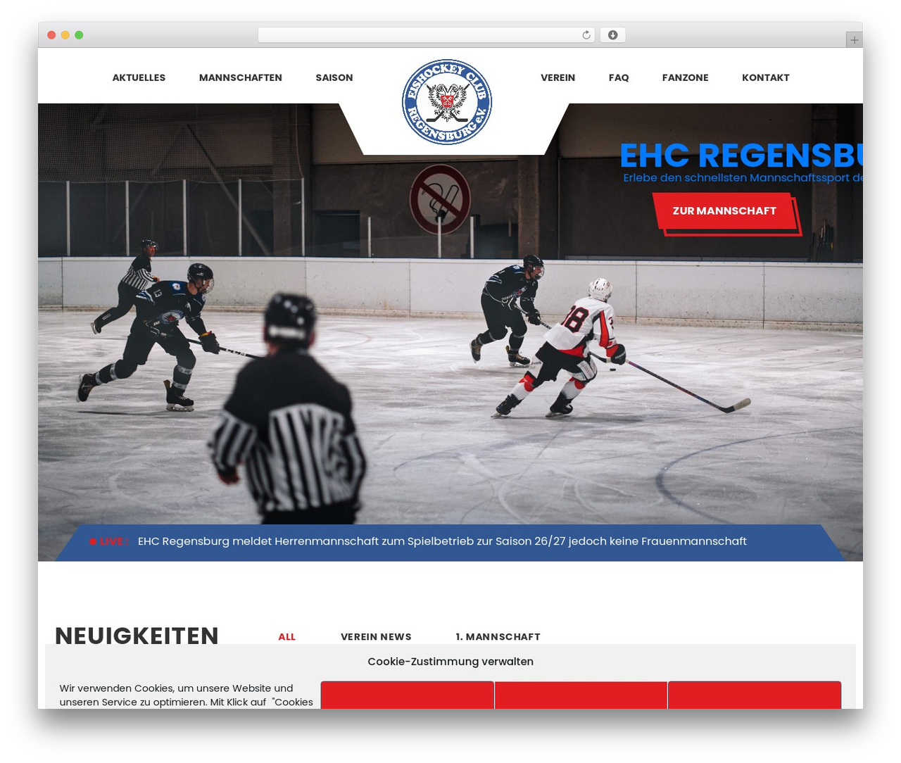Splash WordPress theme - ehcregensburg.de