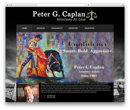 Theme WordPress theme1886 - caplanatlaw.com