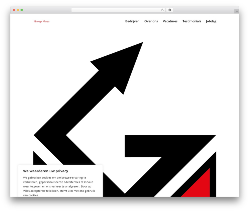 WordPress theme Divi - groepmaes.com