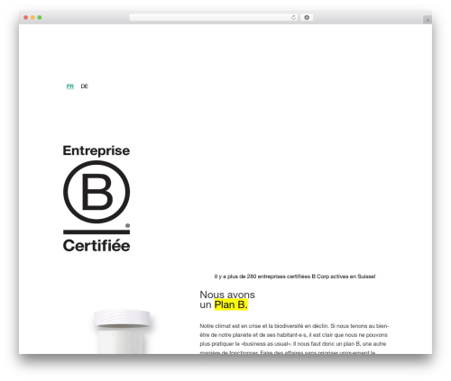 Divi WordPress theme - my-planb.ch